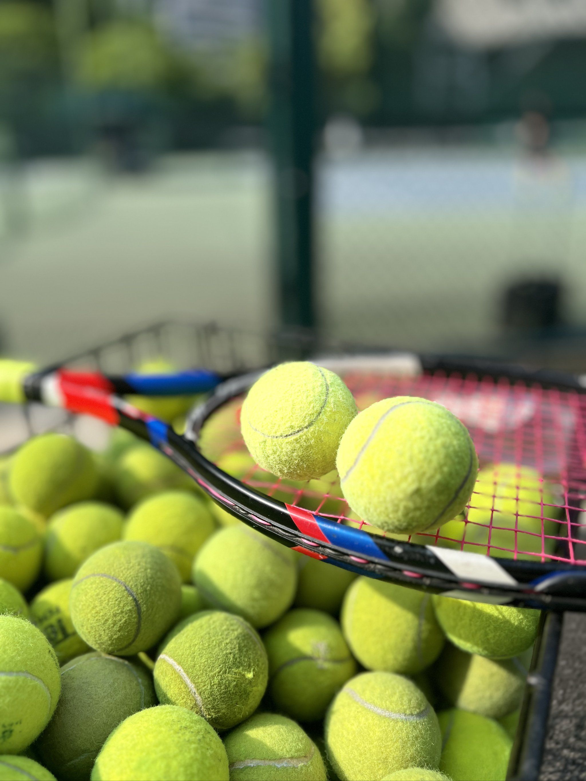 球员的一种 球员的一种