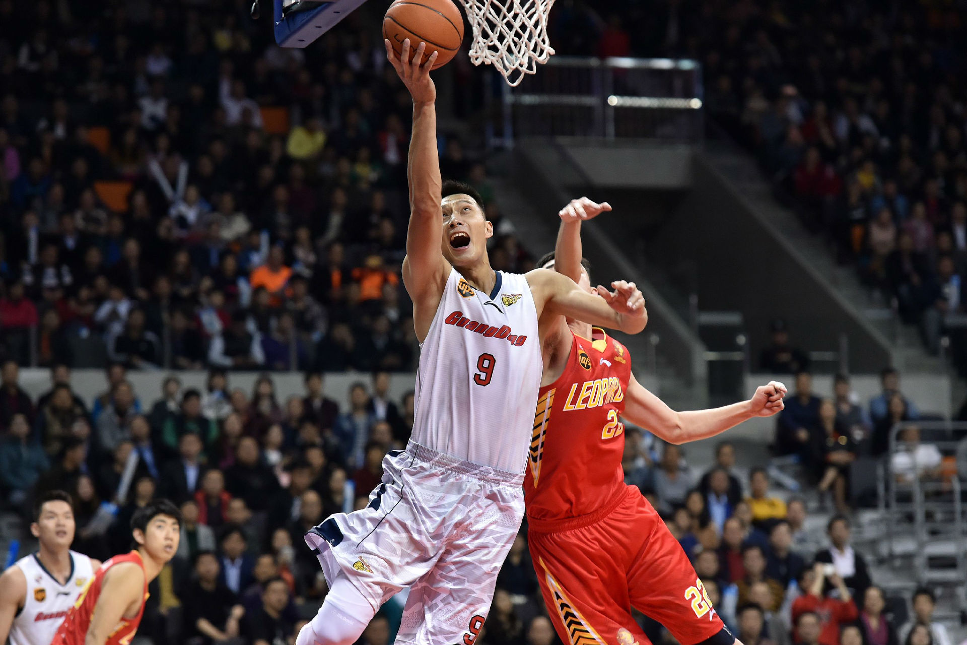 花赢下上海 花赢下上海